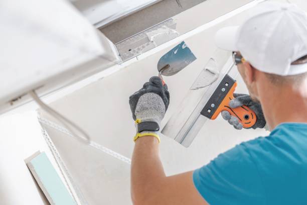 Environmental Consulting for Mold Prevention in El Sobrante, CA